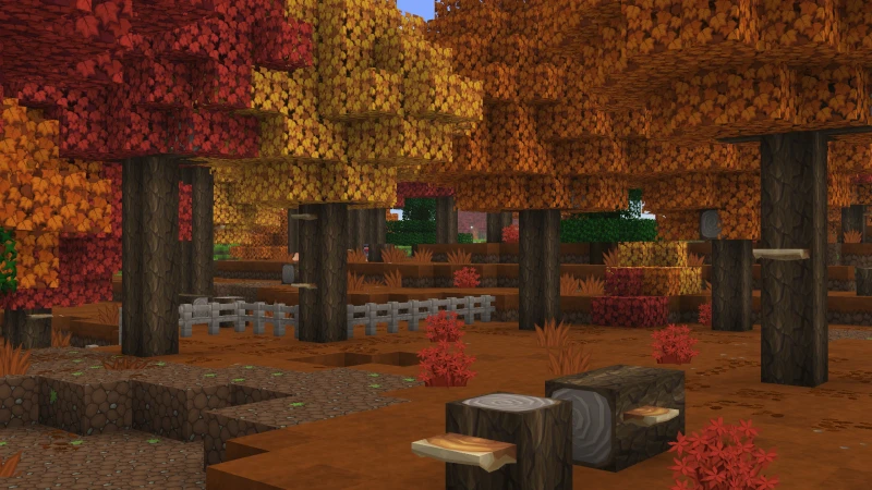 Dappled Forest with Poplar trees, autumn leaves, and shelf mushrooms