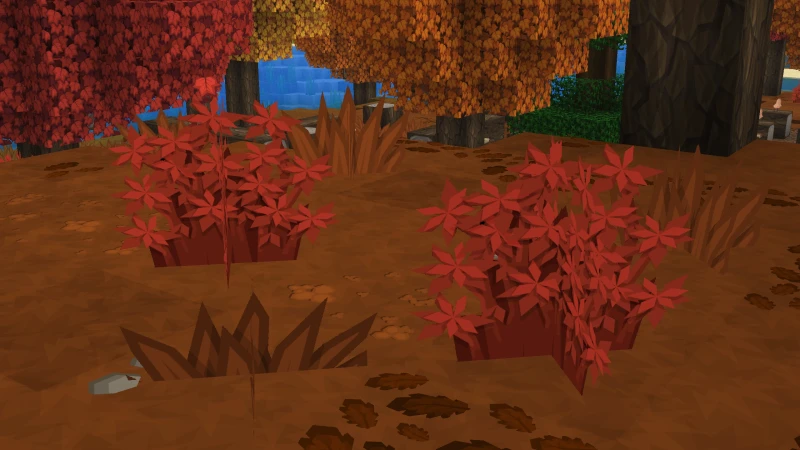 Red Shrubs on the Dappled Forest floor