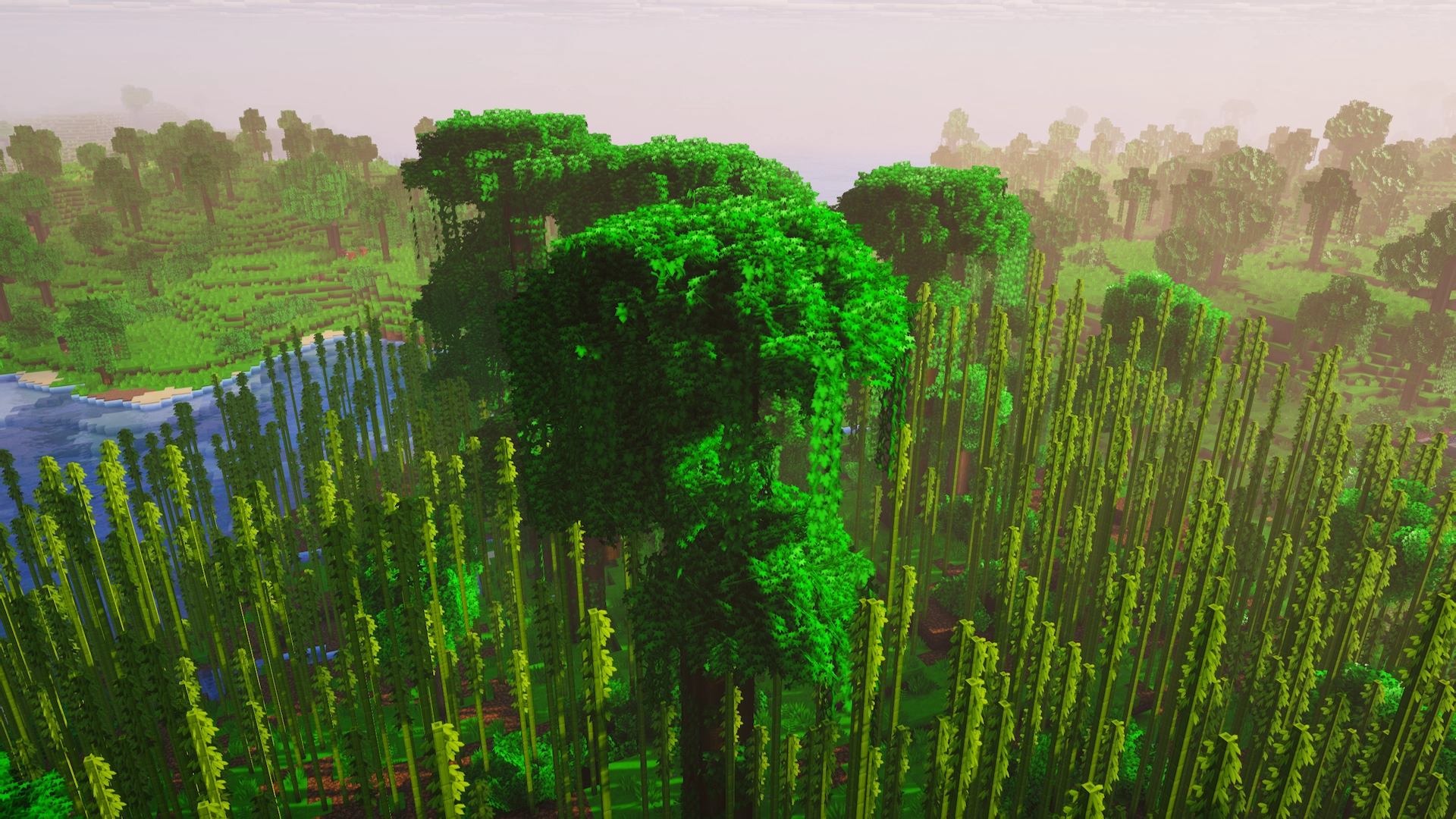 Lush Leaves