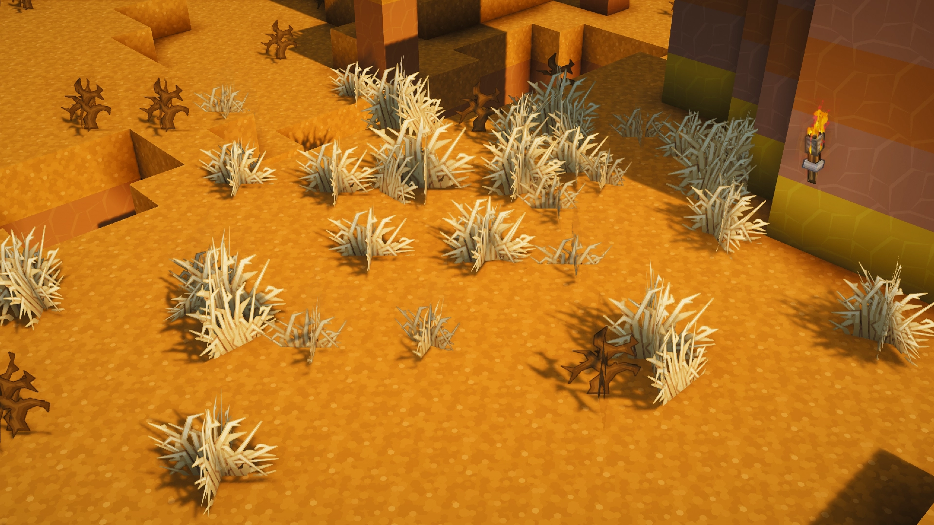 Lush dry grasses